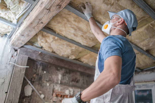 Best Insulation Installation Services in Idylwood, VA