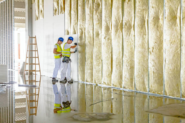 Best Insulation for Specific Applications in Idylwood, VA